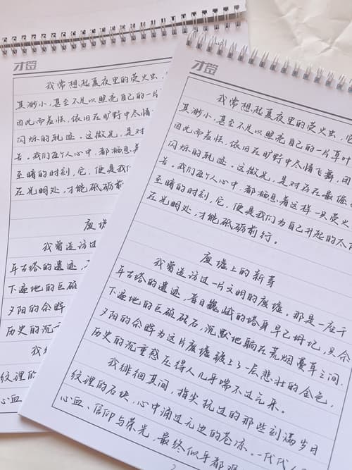 静山随笔体手写体行楷适合大学生行楷书法练字硬笔书法字帖 3