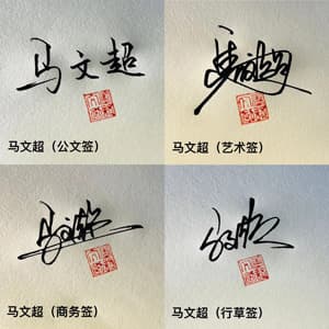 公文商务艺术行草四种风格15天打卡套餐，支持一对一设计师指导，未达预期可退