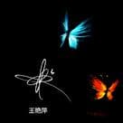 顶级签名纸质版套餐