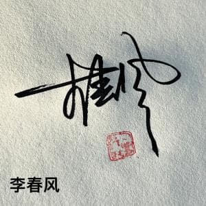 书法简化快速签纸质版