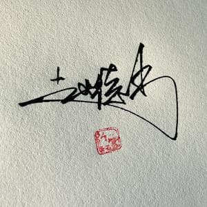 高端王者签名纸质版套餐