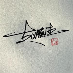 高端王者签名纸质版套餐