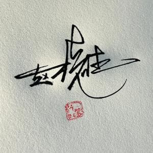 高端王者签名纸质版套餐